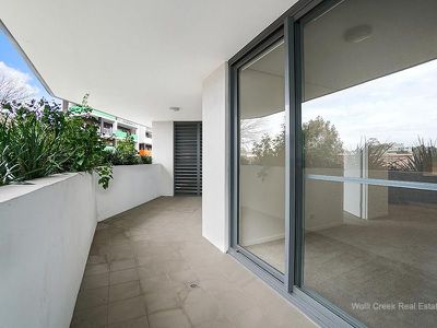 209 / 19 Arncliffe Street, Wolli Creek