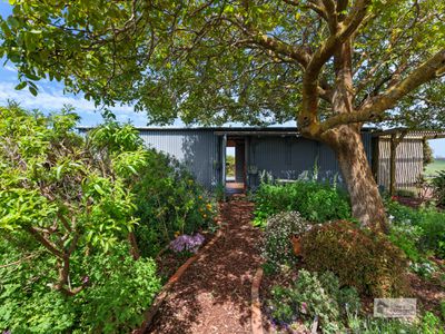 144 Baulds Road, Table Cape