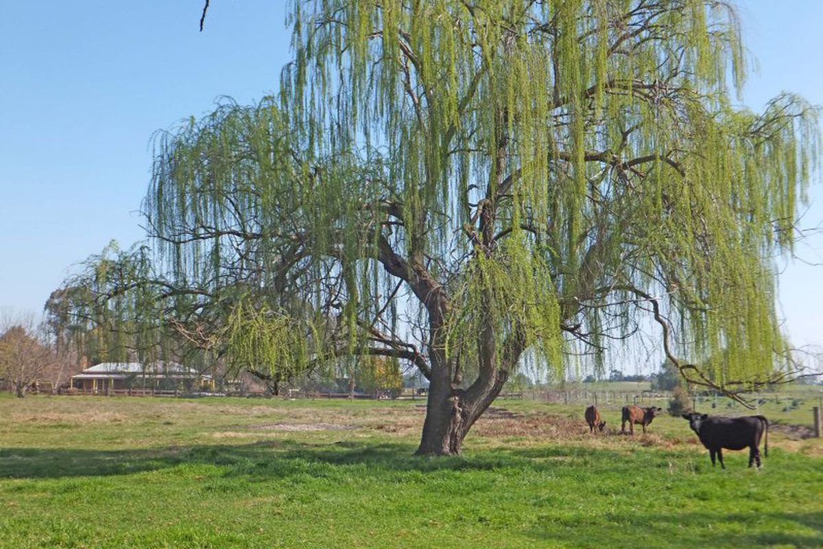 620 Henderson Road, Tongala