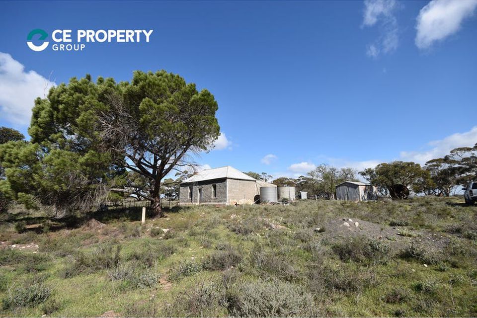 146 Black Hill Flood Road, Cambrai