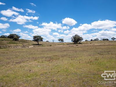 Lot 95, 2202 Wellington Vale Road, Emmaville