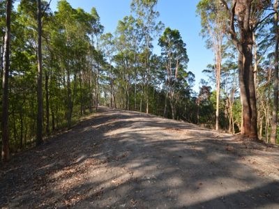 135 West Eumundi Road, Eerwah Vale