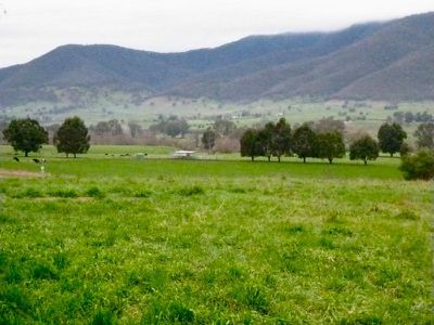 Green Lane, Dederang