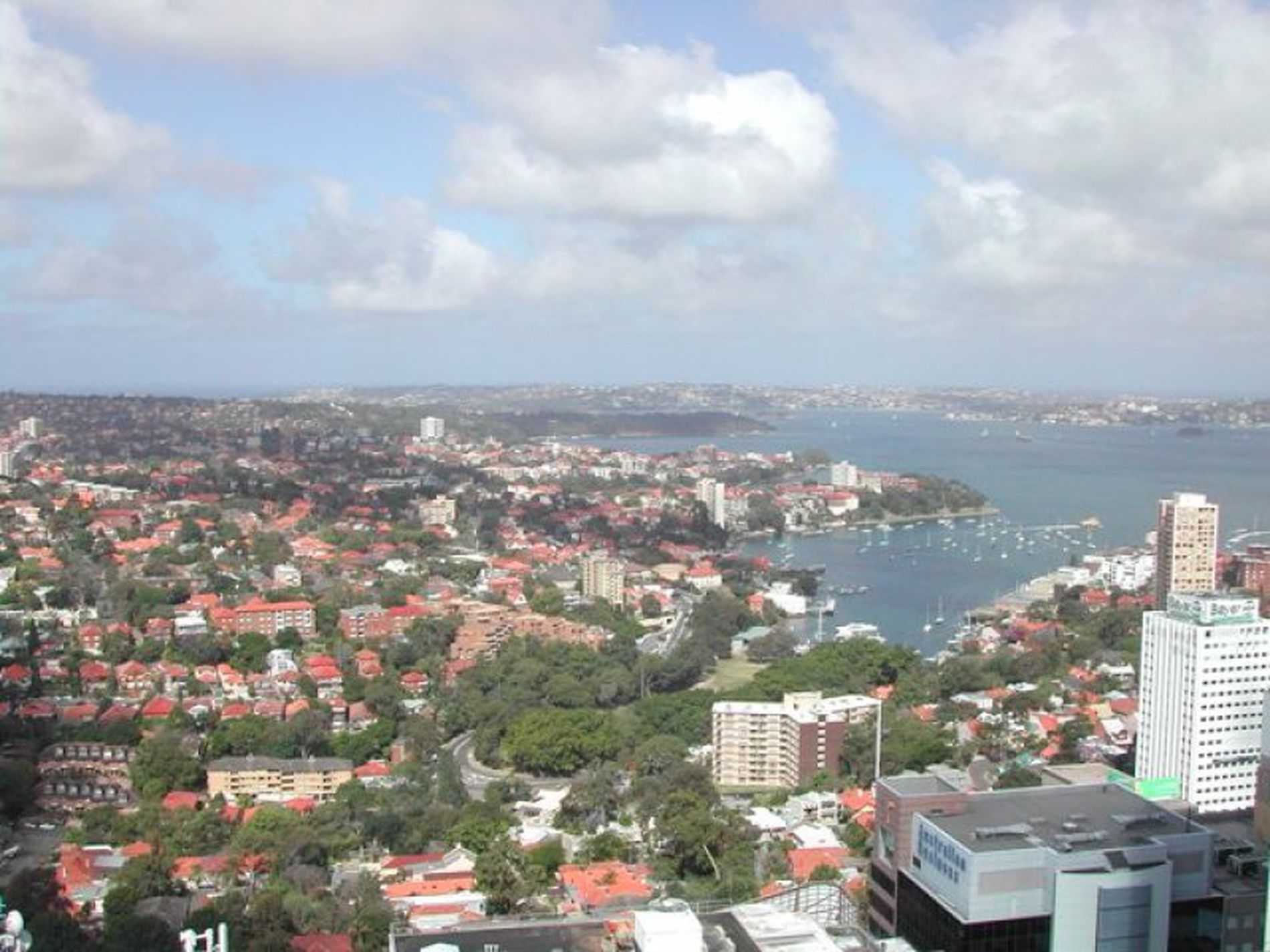 3005 / 77-81 Berry Street, North Sydney