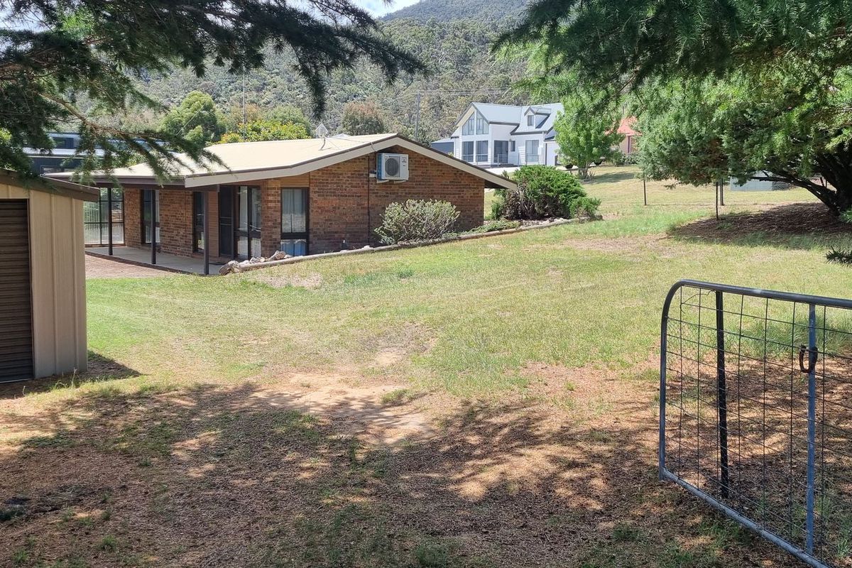 26 Magnolia Avenue, Kalkite