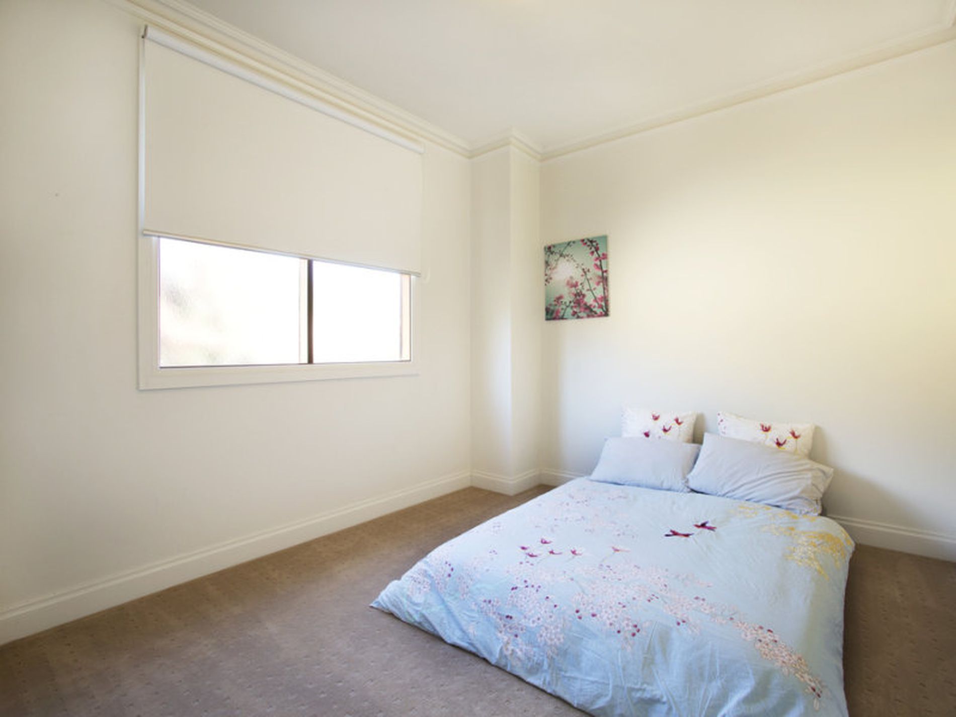 11 Berkley Avenue, Everard Park