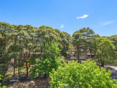 501 / 40 Mcevoy Street , Waterloo
