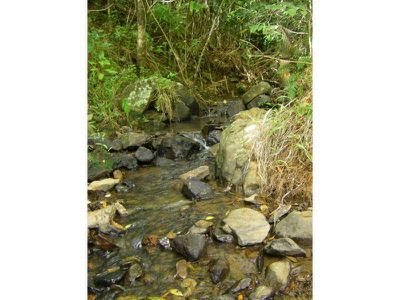 Lot 9 Tulsi Lane, Nimbin