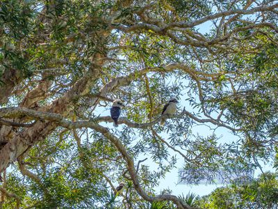 5 Tathra Glen, Ocean Shores