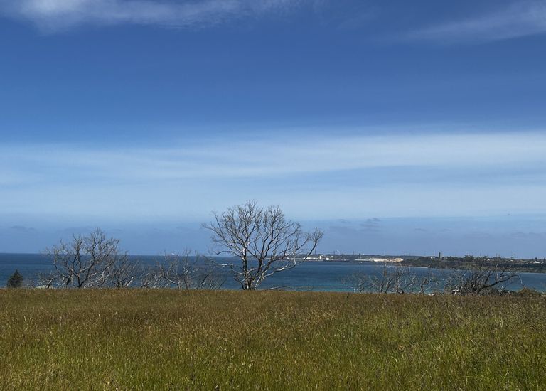 812 Henty Highway, Bolwarra