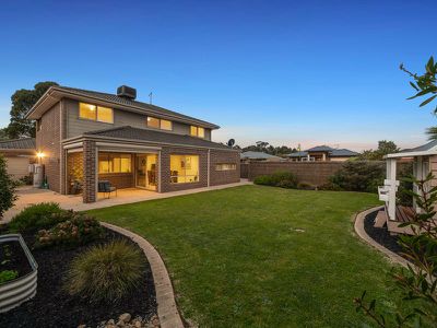 24 Black Wallaby Drive, Langwarrin