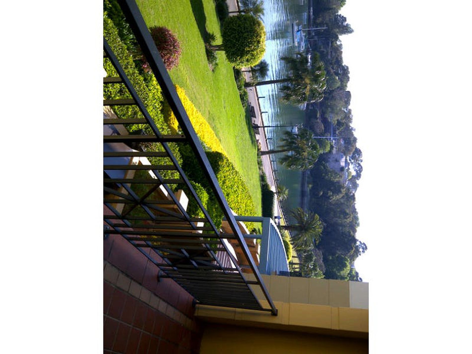 Rozelle