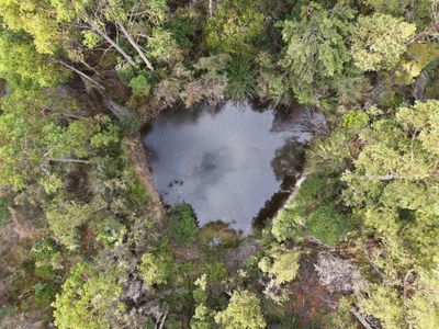 287 Esperance Coast Road, Brooks Bay