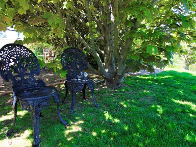587 White Rock  Rd, White Rock