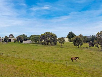 220 Nineteenth Avenue, Eden Park