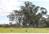324 Dripstone Road, Neurea