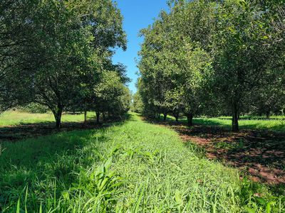 1740  Nimbin Road, Koonorigan