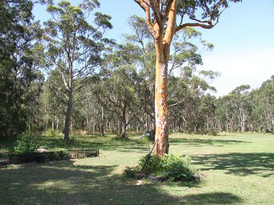 5 Sweetpea Road, Forster