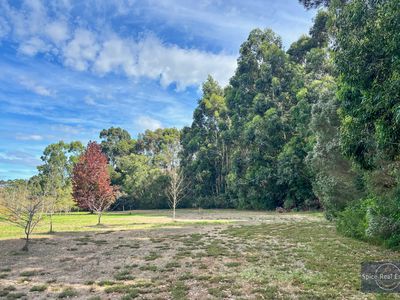124 Sheoak Drive, Hay