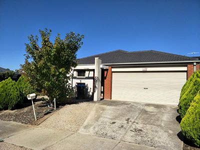 7 Nighthawk Road, Tarneit