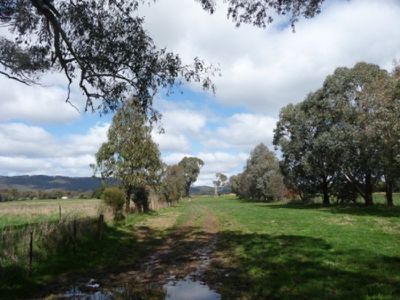 1220 Beechworth Wodonga Road, Wooragee