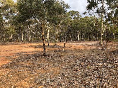 60D Mt. Kerang Road, Buckrabanyule