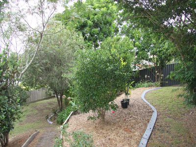 3 Affleck Close, Forster