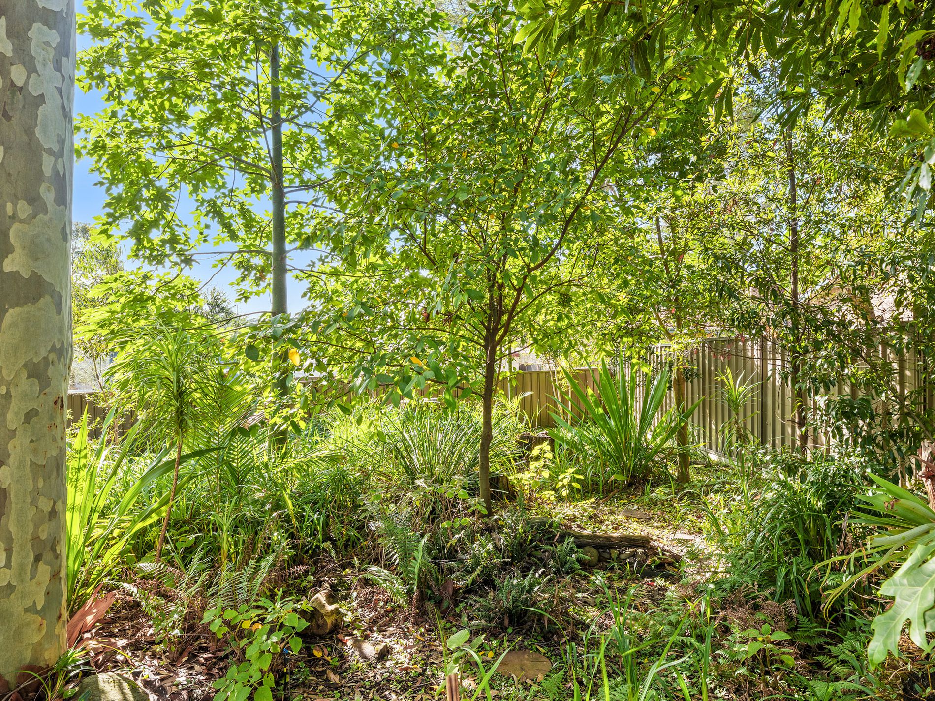 62 SURF BEACH AVENUE, Surf Beach