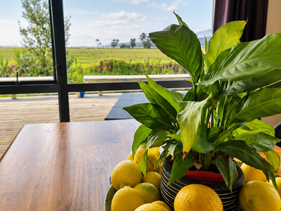 41B Springs Road, Parakai, Helensville