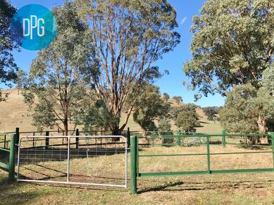 Bonnie Doon