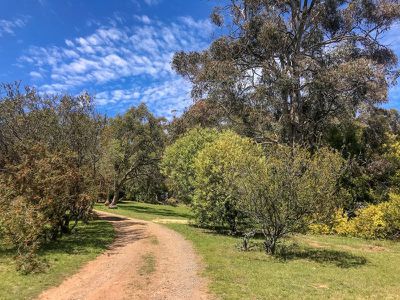 1310 Old Tolmie Road, Tolmie