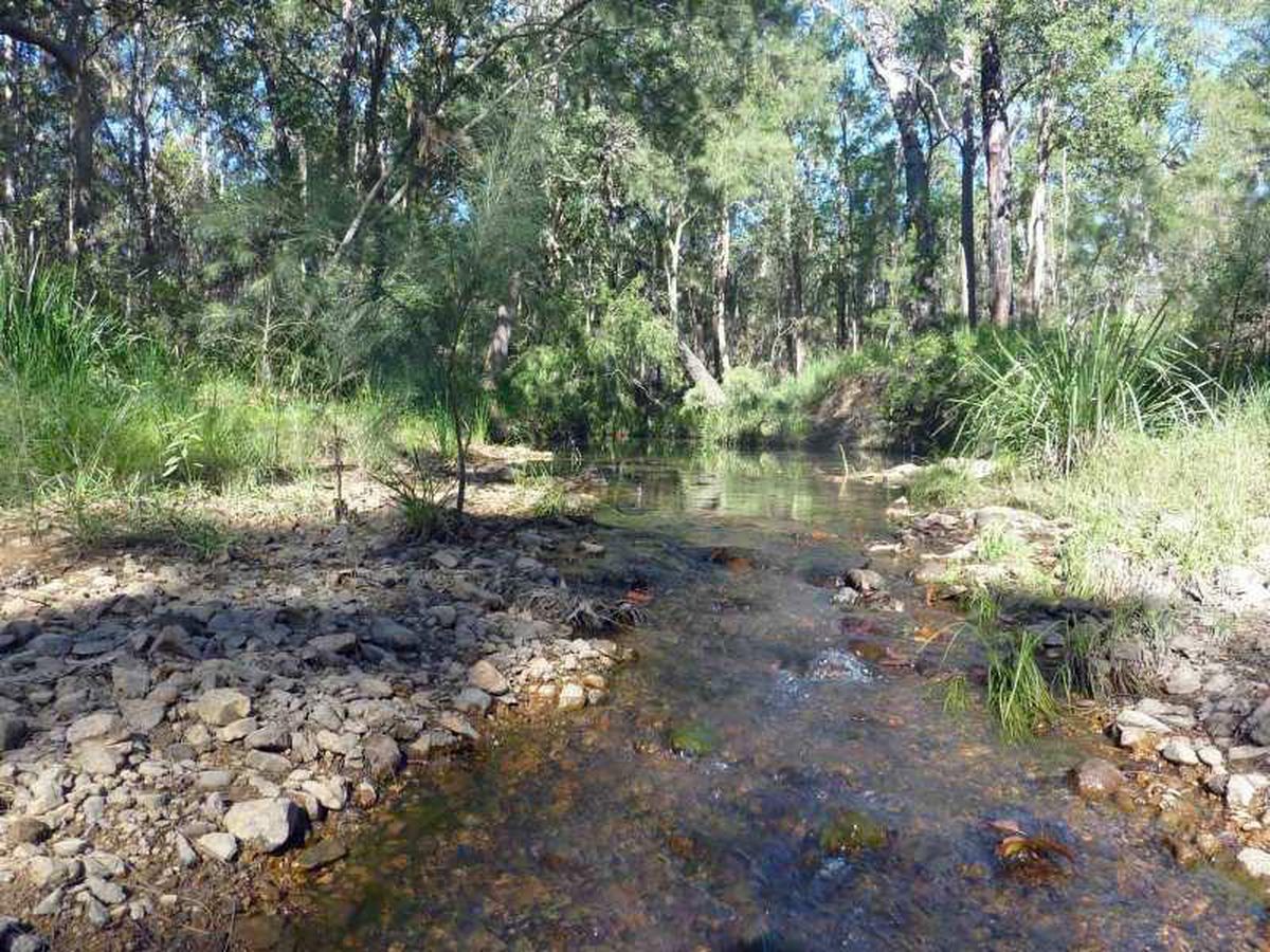 Ravenshoe