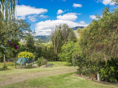 2394 NIMBIN ROAD, Nimbin
