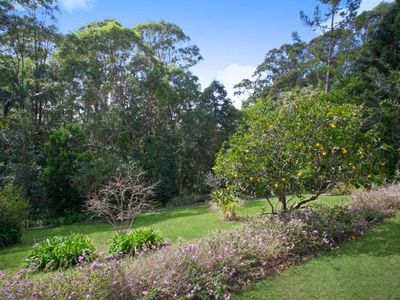 37 Pacific View Drive, Tinbeerwah