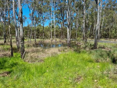 1779 Kingaroy Cooyar Road, Brooklands