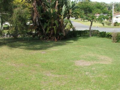 21 Oak Avenue, Lake Tabourie