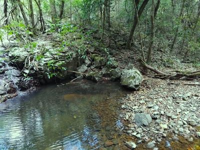 Lot 220 Comboyne Road, Byabarra