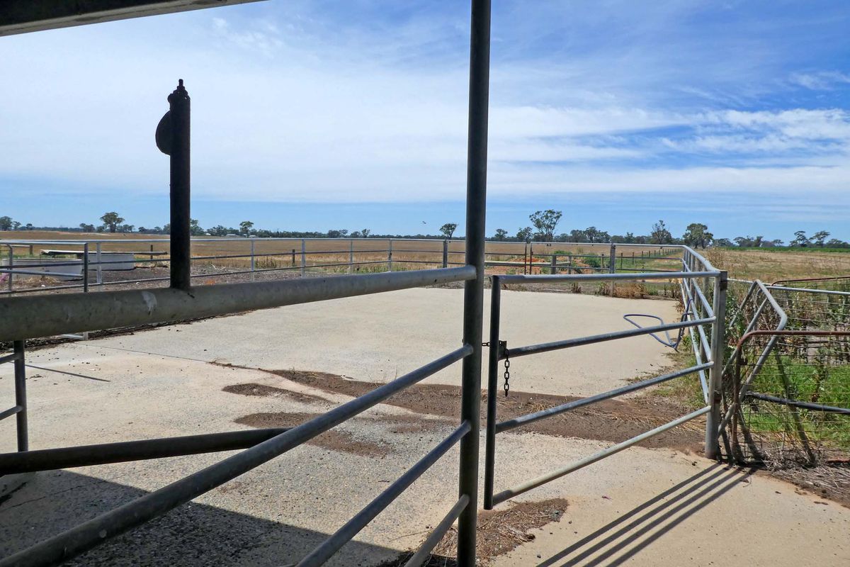 785 Kyabram-Cooma Road, Kyabram