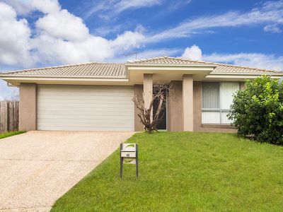 40 Whipbird Street, Bellbird Park