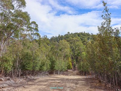 Lot 1, Link Road, Lonnavale