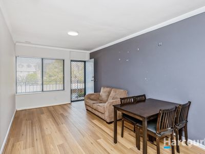 7 / 345 Stirling Street, Highgate
