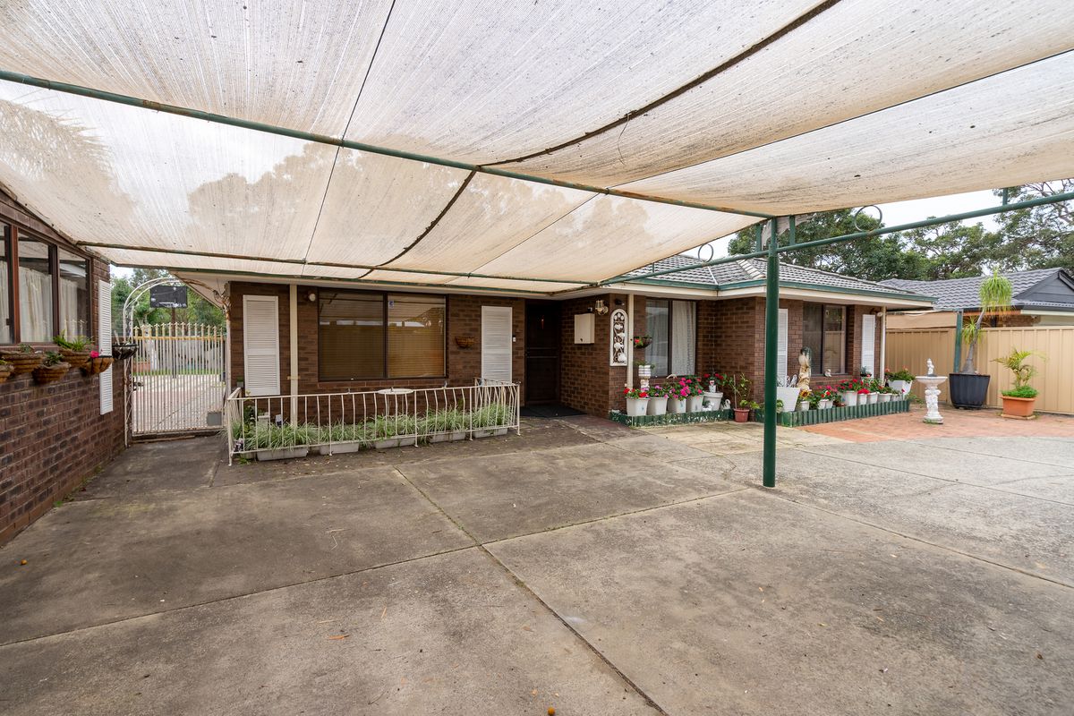 81 Anaconda Drive, Gosnells