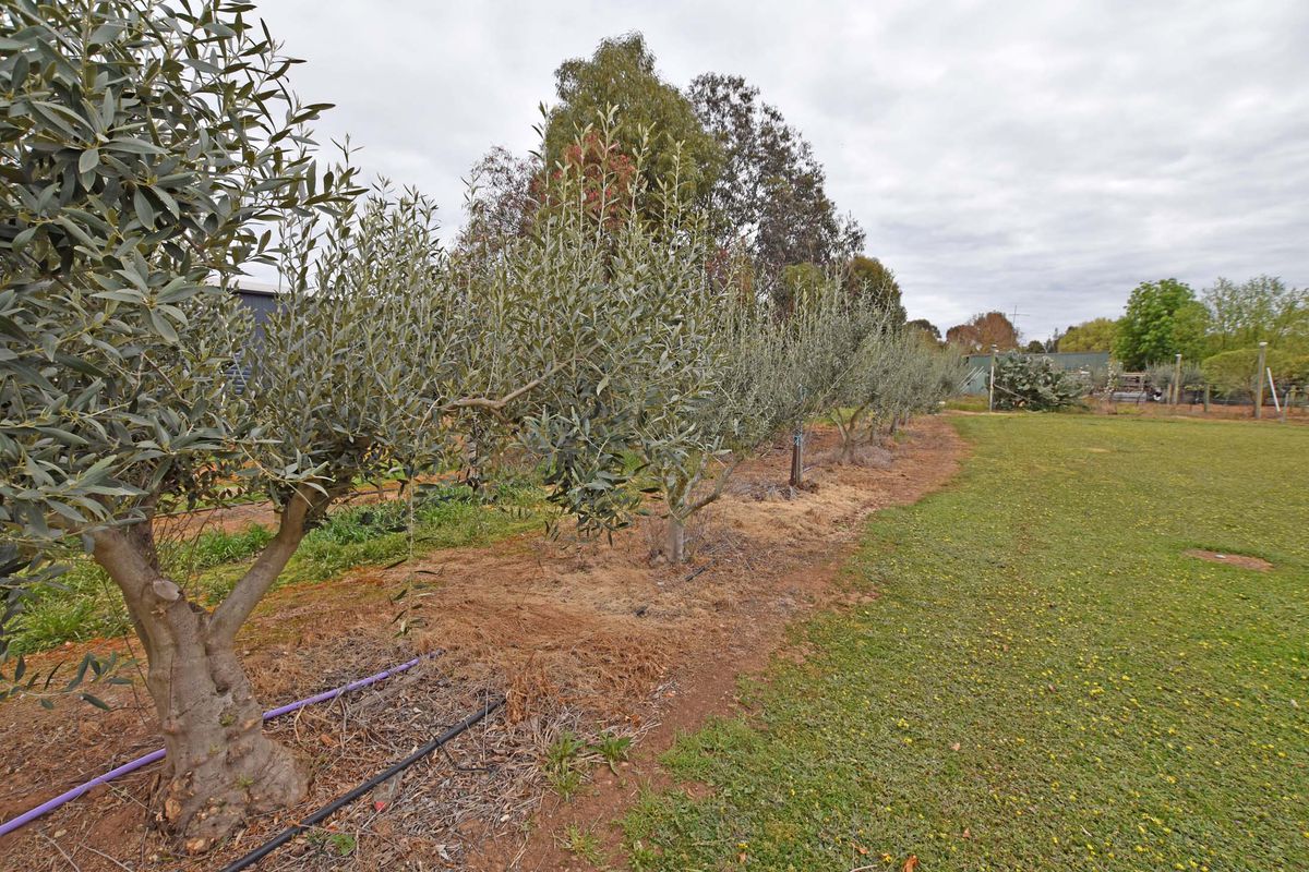 2 Jenmar Drive, Kyabram