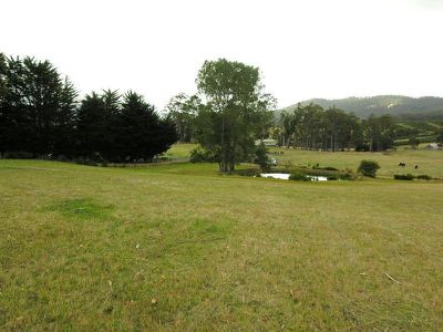 Reids Road, Cradoc