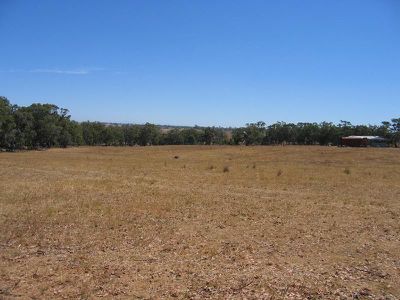 C / A 171 SPRING PLAINS ROAD, Mia Mia