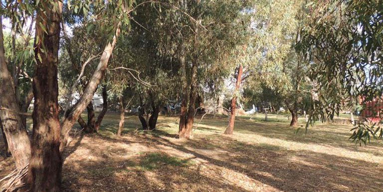 52-54 Birkett Street, Euroa