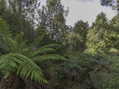 170 Russell Road, Lonnavale