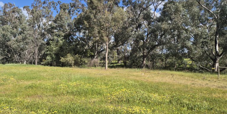 393 Mansfield Road, Euroa