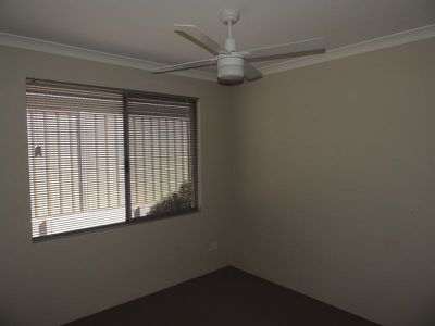 17 Peacock Avenue, Singleton