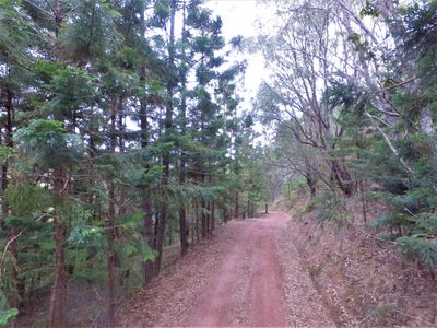 807 LOWE ROAD, Moy Pocket